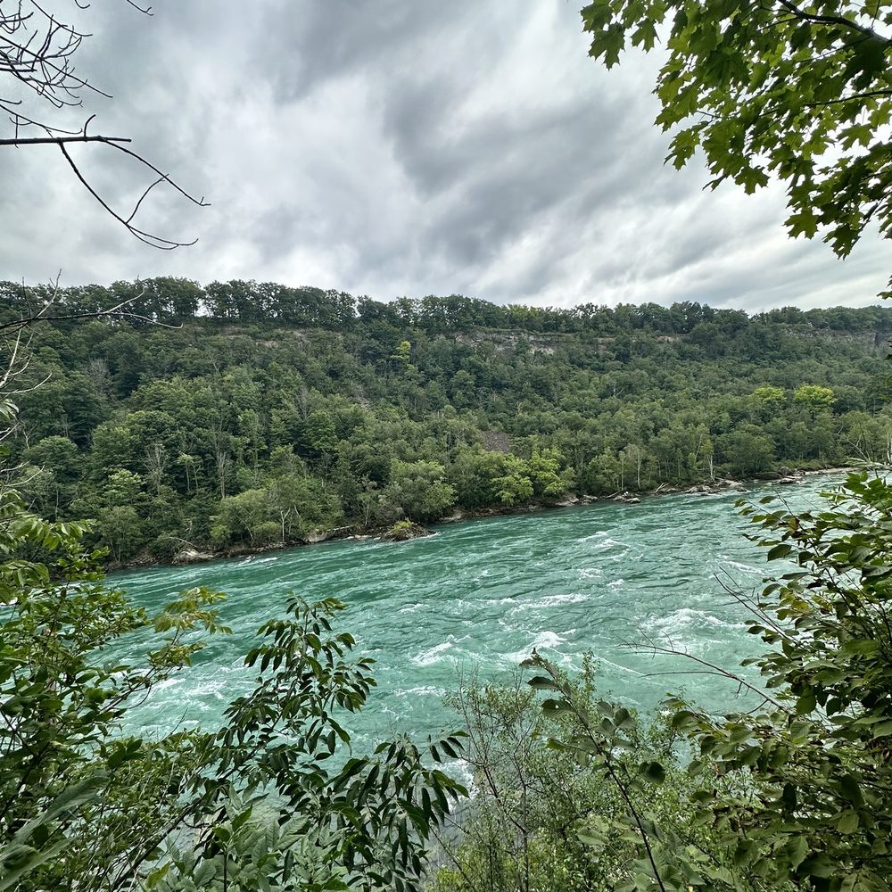 Niagara Glen Nature Reserve - Parks Near Me - Niagara Falls, Ontario Niagara Glen Nature Reserve - Parks Near Me - Niagara Falls, Ontario