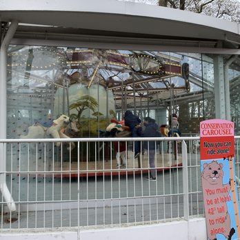 Staten Island Zoo - Carousel - Zoos Near Me - Staten Island, New York