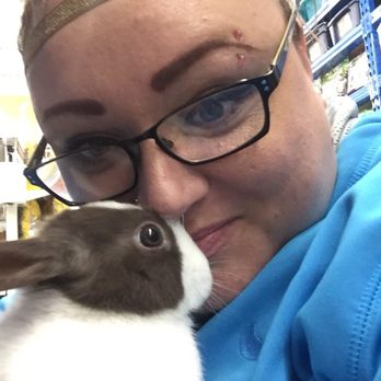 Chow Hound - My bunny aria I purchased - Pet Stores Near Me - Portage, Michigan