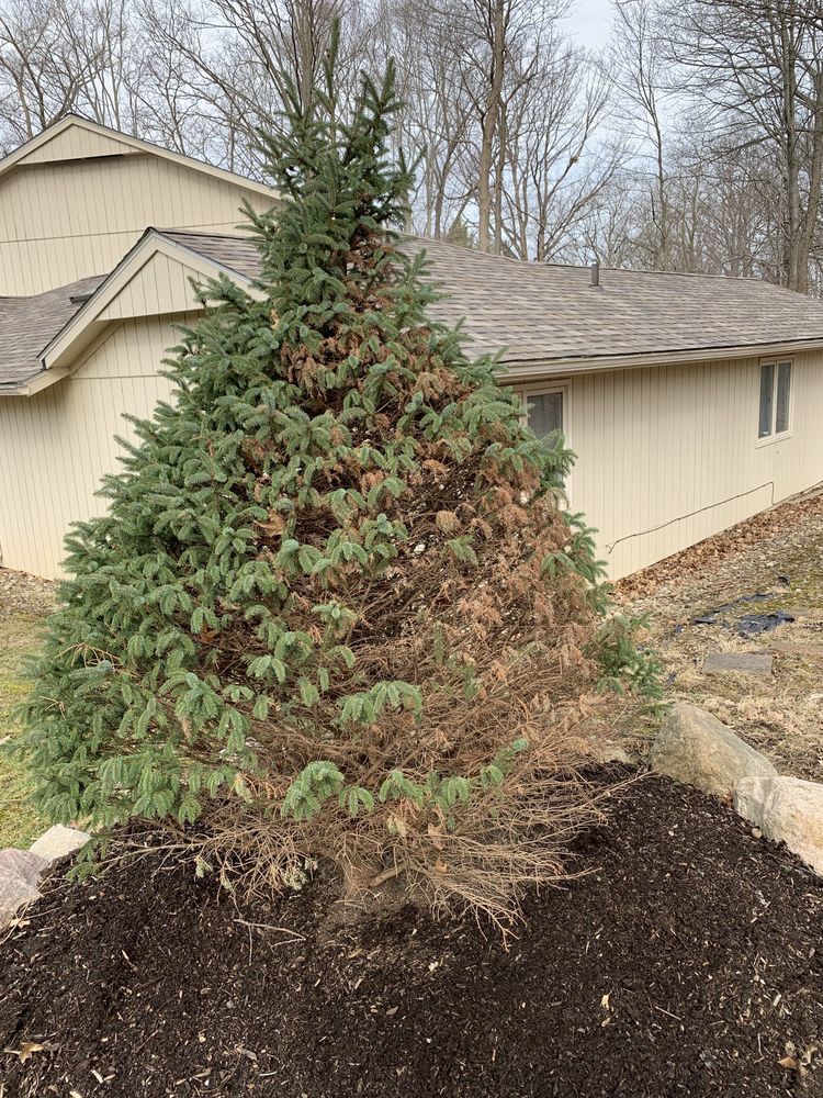 MARIA GARDENS CENTER Nurseries & Gardening 20465 Royalton Rd