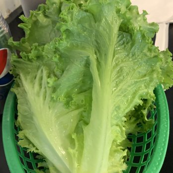 Sikdorak III - This photos does show how much lettuce we got - lots! - Korean Near Me - Aiea, Hawaii Sikdorak III - This photos does show how much lettuce we got - lots! - Korean Near Me - Aiea, Hawaii