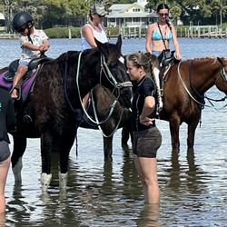 Florida Beach Horses - Me and my friend
