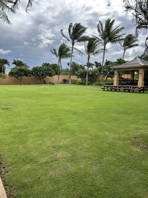 Courtyard Maui Kahului Airport by null