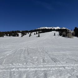 Telluride Outfitters - Wide open meadows to cruise around in - so fun!