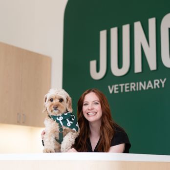 Juno Veterinary - Veterinarians Near Me - Toronto, Ontario Juno Veterinary - Veterinarians Near Me - Toronto, Ontario
