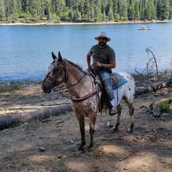 Shaver Stables - Go up there and enjoy a me time!