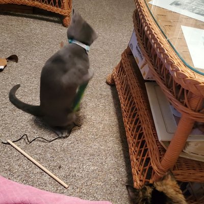 Haymarket Brewery & Taproom by null