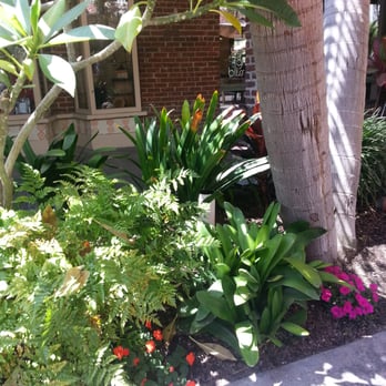 Green Bliss - Coffee & Tea Near Me - Fullerton, California Green Bliss - Coffee & Tea Near Me - Fullerton, California