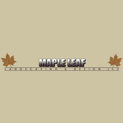 Maple Leaf Landscaping Design