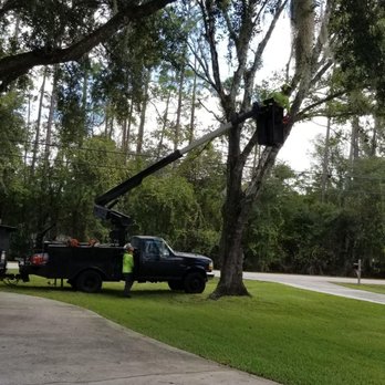 Lee's Trees - Tree Services Near Me