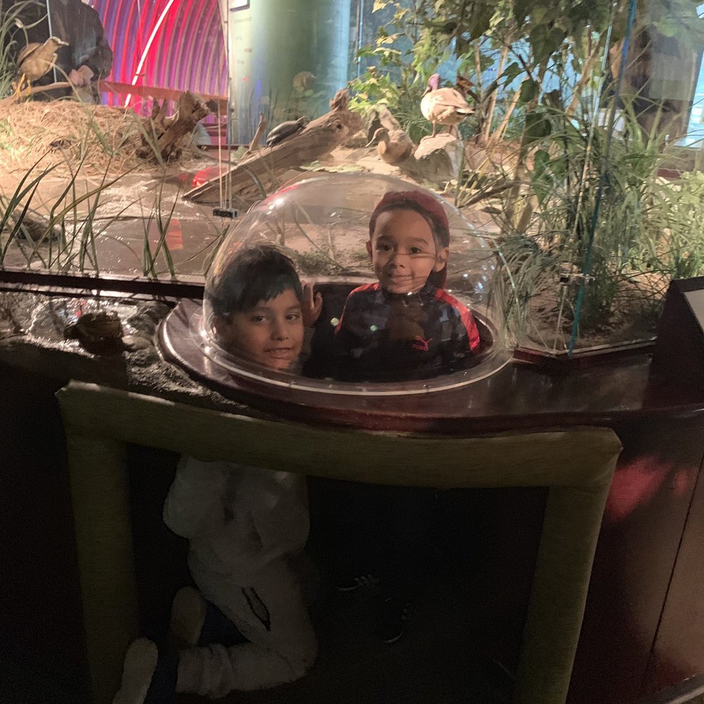 Brooklyn Children's Museum - Children's Museums Near Me - Brooklyn, New York