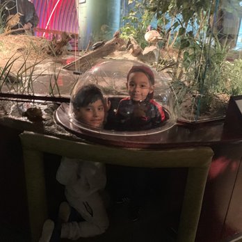 Brooklyn Children's Museum - Children's Museums Near Me - Brooklyn, New York