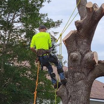 Baker Tree Care - Tree Services Near Me Baker Tree Care - Tree Services Near Me