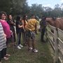 Photo of Haile Equestrian Center
