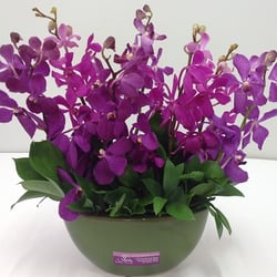 Pretty Petals - Let this pretty orchid arrangement do the talk.