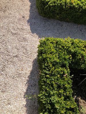 Jardin Botanique de l'Arquebuse by null