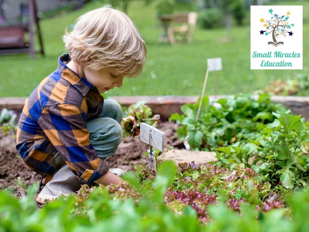 Quality Interactive Anthem Montessori - childcare center in Anthem, AZ