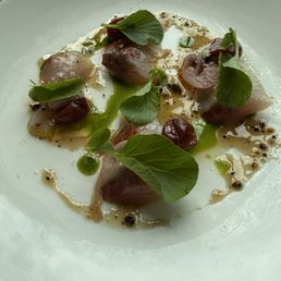 Yellowtail Yellowtail