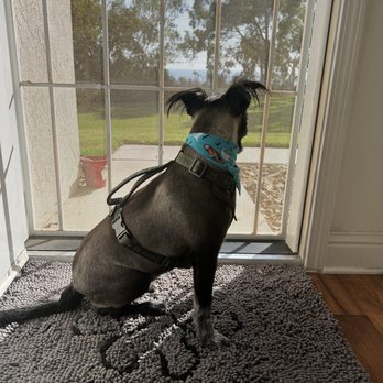 Talega Animal Hospital - Veterinarians Near Me - San Clemente, California Talega Animal Hospital - Veterinarians Near Me - San Clemente, California