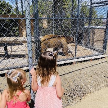 Animal Ark - Zoos Near Me - Reno, Nevada