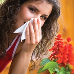 Sinus & Snoring Centers of Texas - Allergy Testing