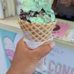 Delicious single scoop in waffle cone