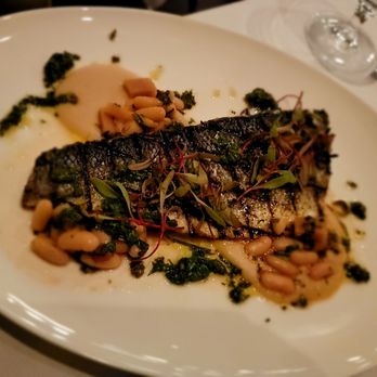 Ristorante TOSCA - Grilled Branzino - Italian Near Me - Washington, DC, District of Columbia Ristorante TOSCA - Grilled Branzino - Italian Near Me - Washington, DC, District of Columbia