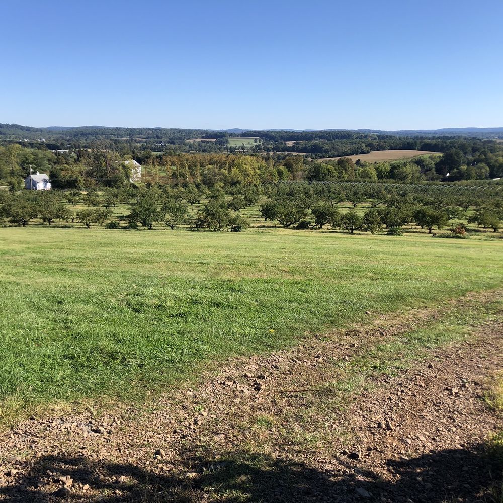 Melick's Town Farm - Whatta view! - Farmers Market Near Me - Bridgewater, New Jersey Melick's Town Farm - Whatta view! - Farmers Market Near Me - Bridgewater, New Jersey