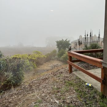 The Inn at the Tides - View from our room - Hotels Near Me - Bodega Bay, California