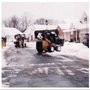 Photo of Colonial Tree Service