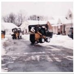 Colonial Tree Service