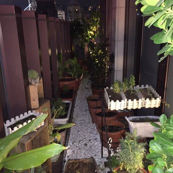 Vea Restaurant & Lounge - Cool little herb garden on the balcony - Cocktail Bars Near Me - Hong Kong, HK