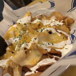LandShark Bar & Grill