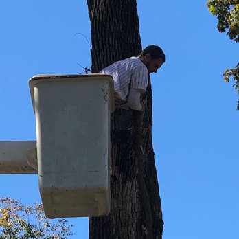 JB's Tree Service - Sawing. - Tree Services Near Me JB's Tree Service - Sawing. - Tree Services Near Me