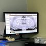 New Vista Dental