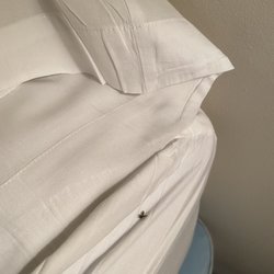 Cottonwood Motel - Fly carcass of bed.