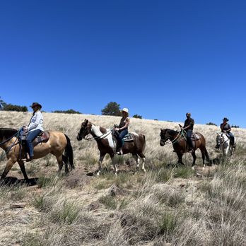 Yavapai Trail Adventures - Horseback Riding Near Me Yavapai Trail Adventures - Horseback Riding Near Me