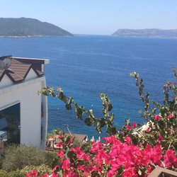 Hotel Begonvil