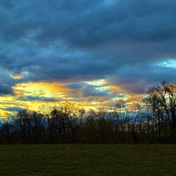 Sam Micheals Park- Dog Park