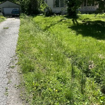 Jack Burt - Before - Lawn Care - Lawn Services Near Me Jack Burt - Before - Lawn Care - Lawn Services Near Me