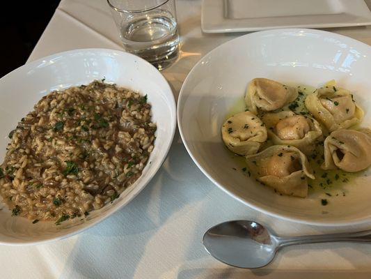 Trattoria Gallo Nero by null
