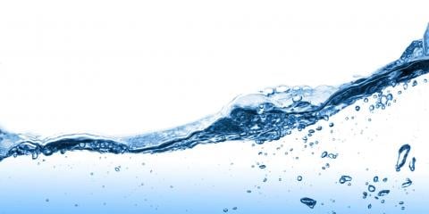 Slide of Carolina Pipe Cleaning