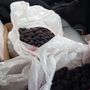 Echo Springs Blueberry Farm