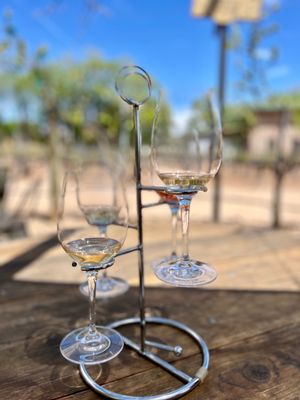 Casa Rondeña Winery by null