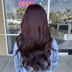 The Salon By Lori - Dark red brown all over color