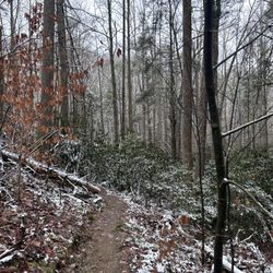 Roan Mountain State Park - Light snow