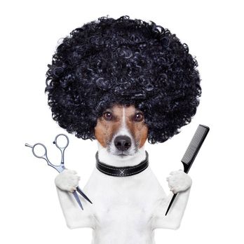 County Line Pet Grooming - Pet Groomers Near Me - Oxford, Wisconsin County Line Pet Grooming - Pet Groomers Near Me - Oxford, Wisconsin