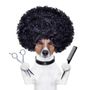 Photo of County Line Pet Grooming