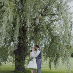 Larson's Barn - Willow Tree