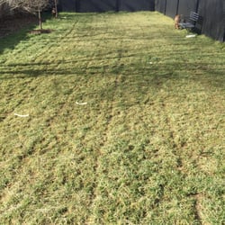 Greentree Community Church - Public Dog Park